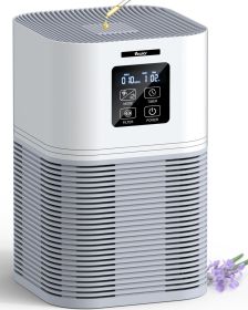 VEWIOR 2 in 1 Air Purifier with H13 Filters for Home Allergies Pets Hair Odor Eliminators Aromatherapy diffuser and Auto Mode Quiet Air Cleaner f VEWIOR 2 in 1 Air Purifier with H13 Filters for Home Allergies Pets Hair Odor Eliminators Aromatherapy diffuser and Auto Mode Quiet Air Cleaner f